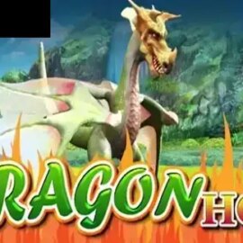Dragon Hot
