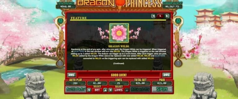 Dragon Princess (RTG)
