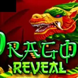 Dragon Reveal