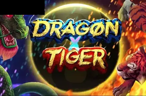 Dragon X Tiger