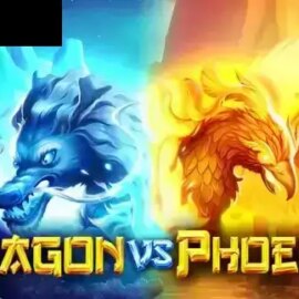 Dragon vs Phoenix