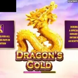 Dragons Gold (Oryx)