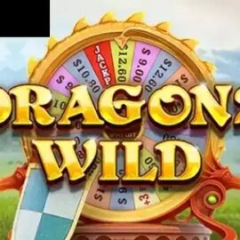 Dragons Wild