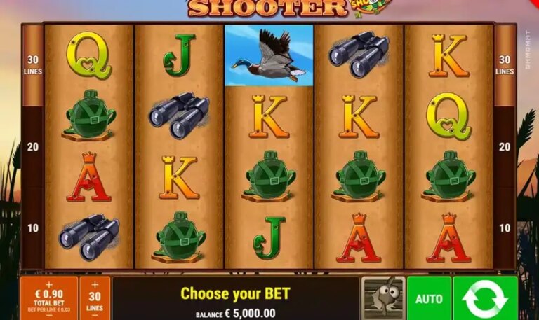 Duck Shooter CCS