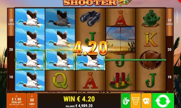 Duck Shooter CCS
