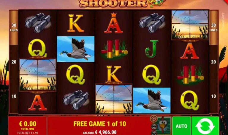 Duck Shooter CCS
