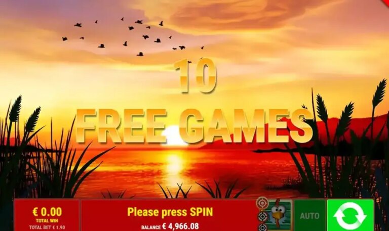 Duck Shooter CCS