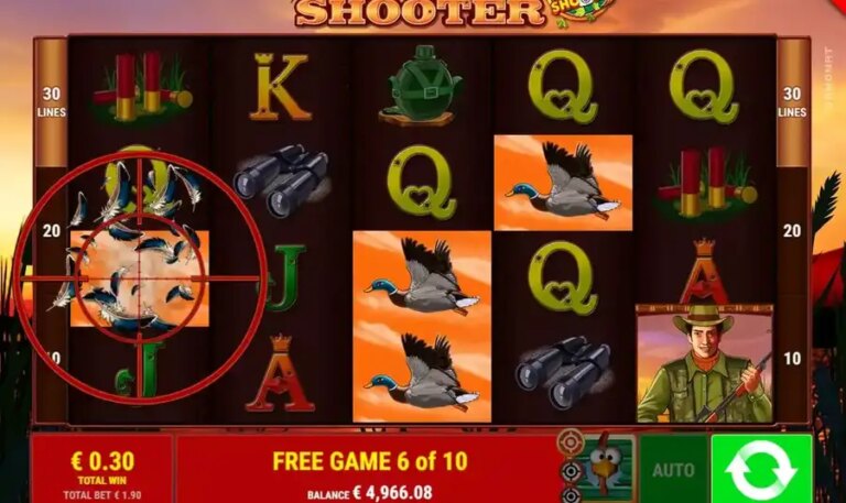 Duck Shooter CCS