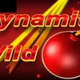 Dynamite Wild