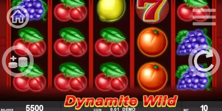 Dynamite Wild