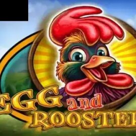 Egg And Rooster