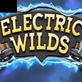 Electric Wilds