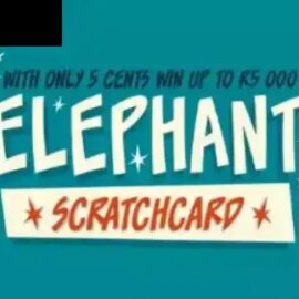 Elephant Scratch