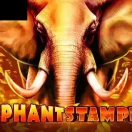 Elephant Stampede