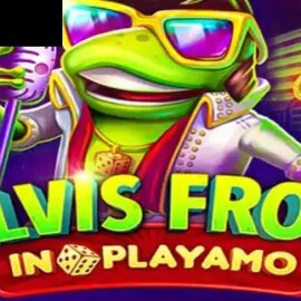 Elvis Frog In PlayAmo