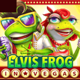 Elvis Frog in Vegas