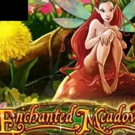 Enchanted Meadow