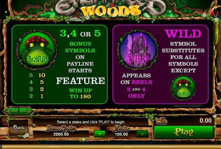Enchanted Woods