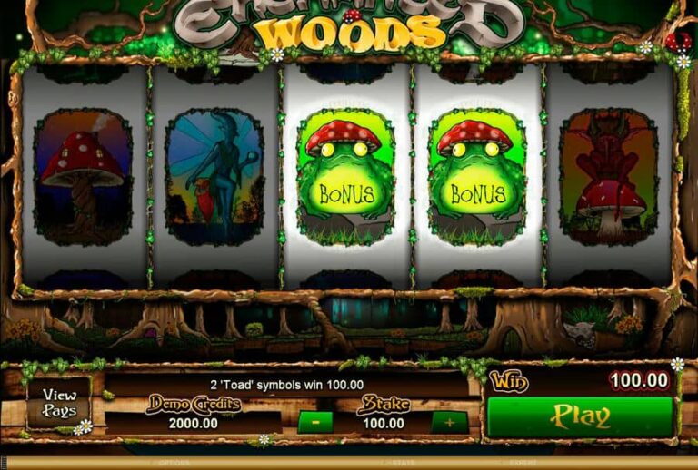 Enchanted Woods