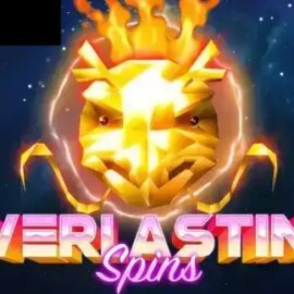 Everlasting Spins