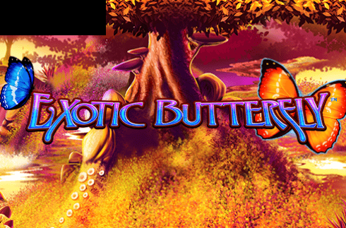Exotic Butterfly