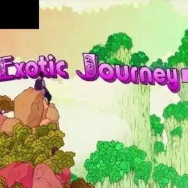 Exotic Journey