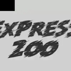 Express 200