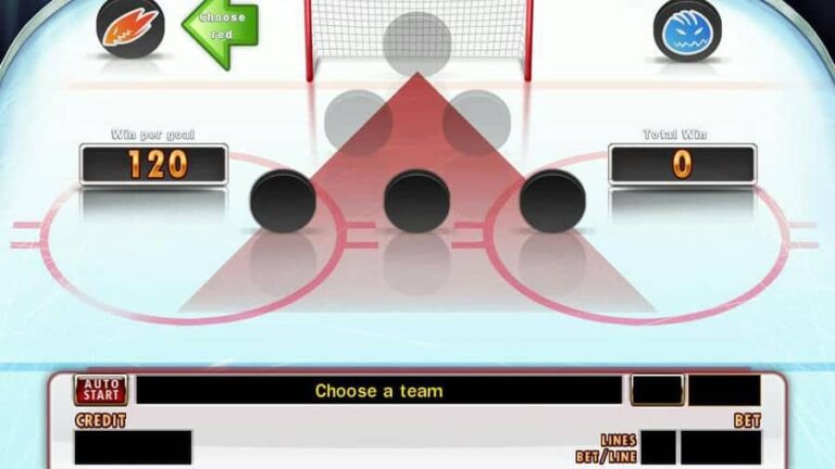 Extreme Hockey