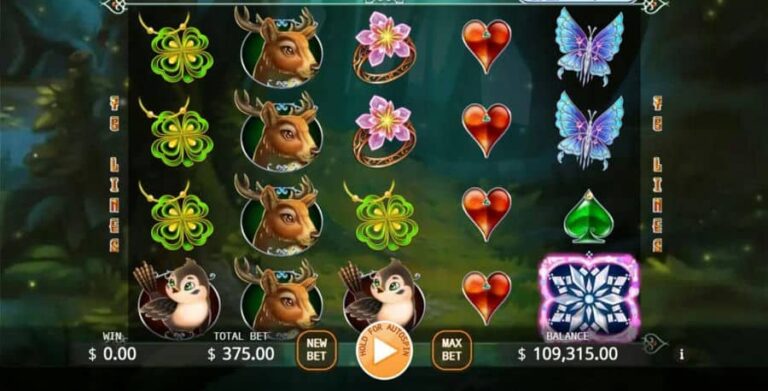 Fairy Forest Tale