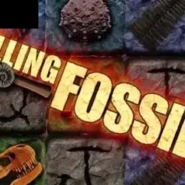 Falling Fossils