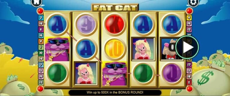 Fat Cat