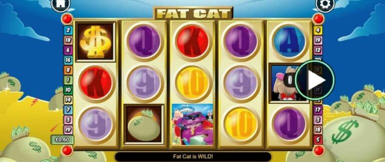 Fat Cat