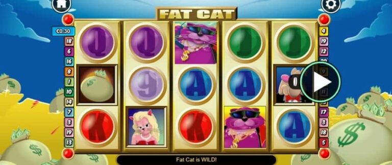 Fat Cat