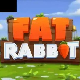 Fat Rabbit