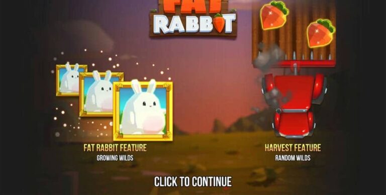 Fat Rabbit