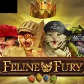 Feline Fury