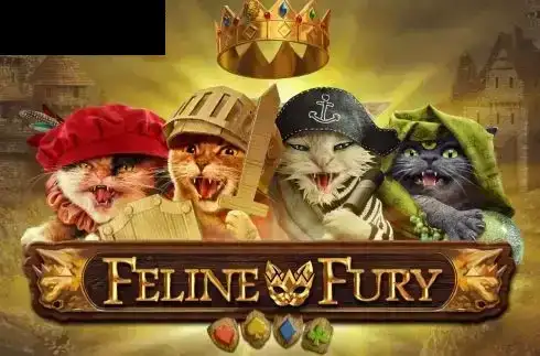 Feline Fury