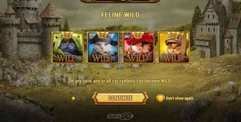 Feline Fury