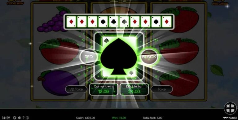 Fenix Play 27