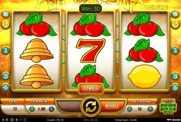Fenix Play Deluxe