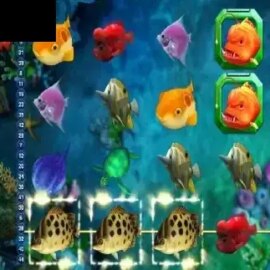 Fish Hunter King