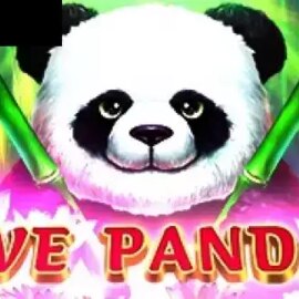 Five Pandas