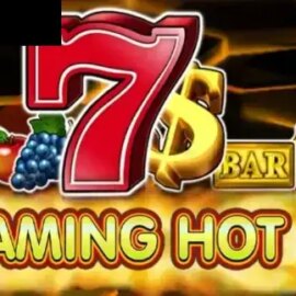Flaming Hot 6 reels