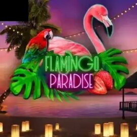 Flamingo Paradise