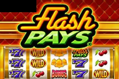 Flash Pays