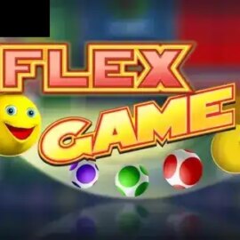 Flex Game