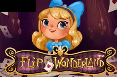 Flip Wonderland