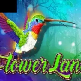Flower Land