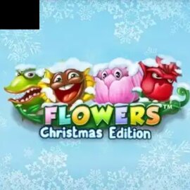 Flowers Christmas Edition