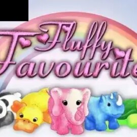 Fluffy Favourites